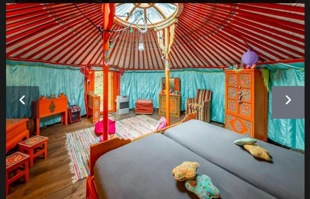 Yourte Mongole Et Cabane Houffalize Dış mekan fotoğraf